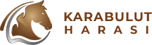 Karabulut HarasÄ±
